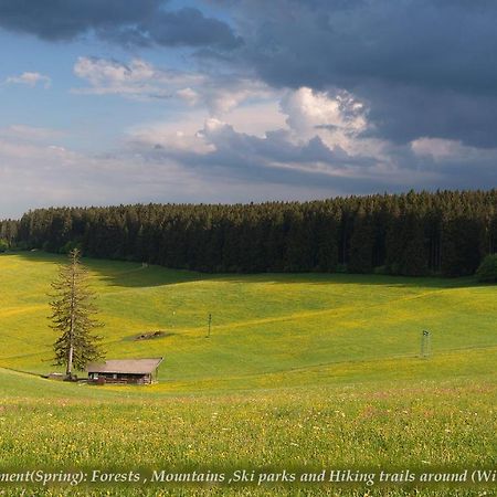 Entire House In Schwarzwald With Mountain View, Private Gym,Sauna And Garden Vila Unterkirnach Exterior foto