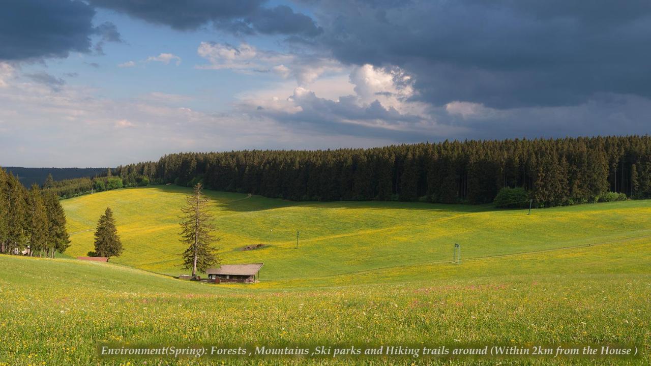 Entire House In Schwarzwald With Mountain View, Private Gym,Sauna And Garden Vila Unterkirnach Exterior foto