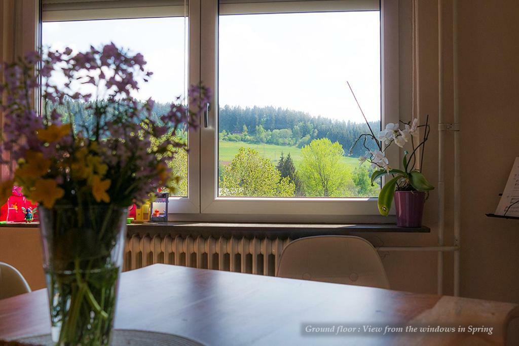 Entire House In Schwarzwald With Mountain View, Private Gym,Sauna And Garden Vila Unterkirnach Exterior foto