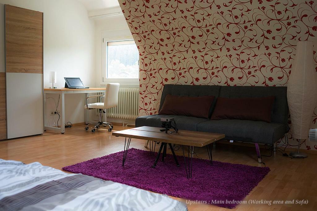 Entire House In Schwarzwald With Mountain View, Private Gym,Sauna And Garden Vila Unterkirnach Exterior foto